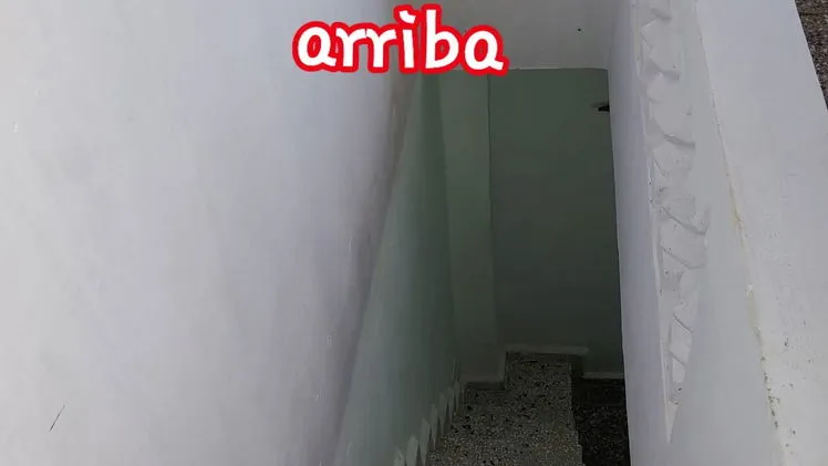 Vista de la propiedad 3