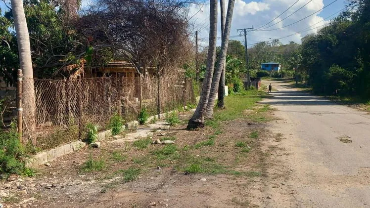 Vista de la propiedad 3