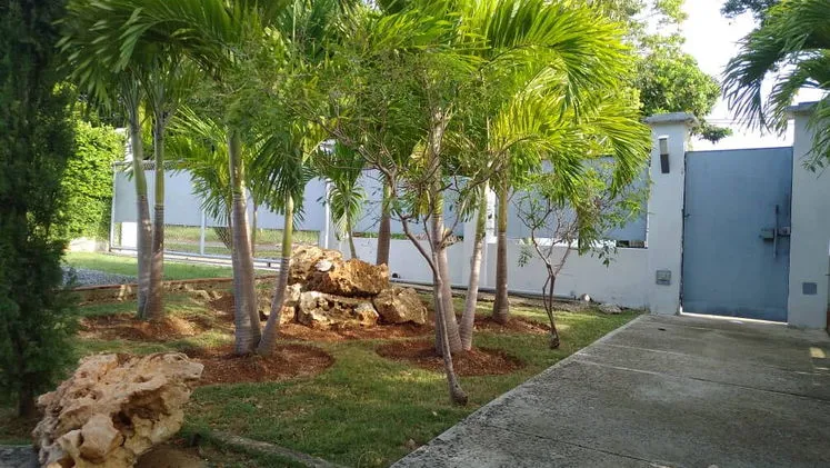 Vista de la propiedad 7