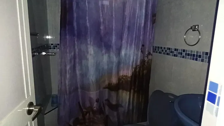 Vista de la propiedad 7