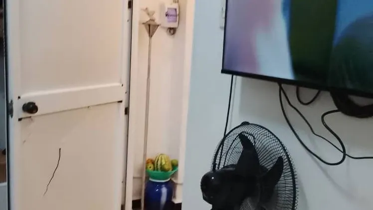 Vista de la propiedad 7