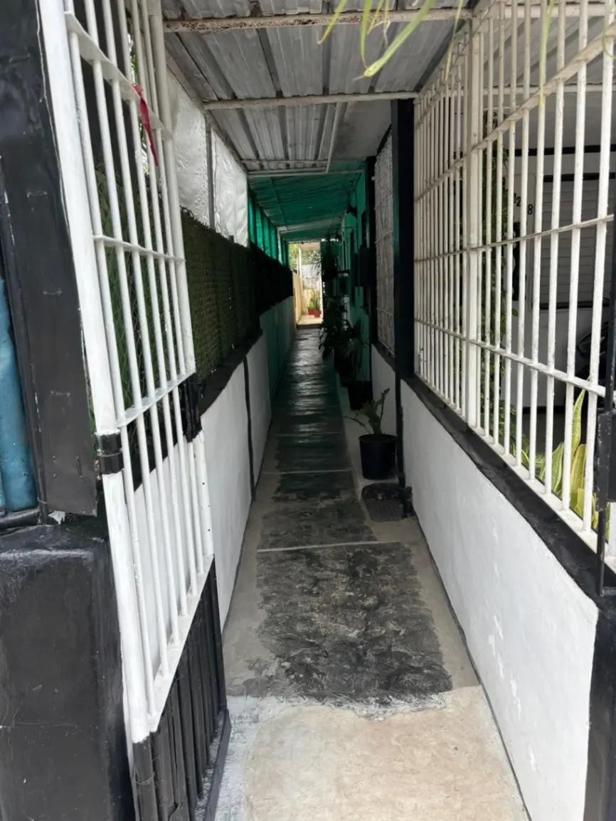 Property view 2